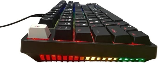 HAVIT KB890L RGB Backlit Mechanical Gaming Keyboard
